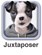 Juxtaposer