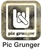 Pic-Grunger